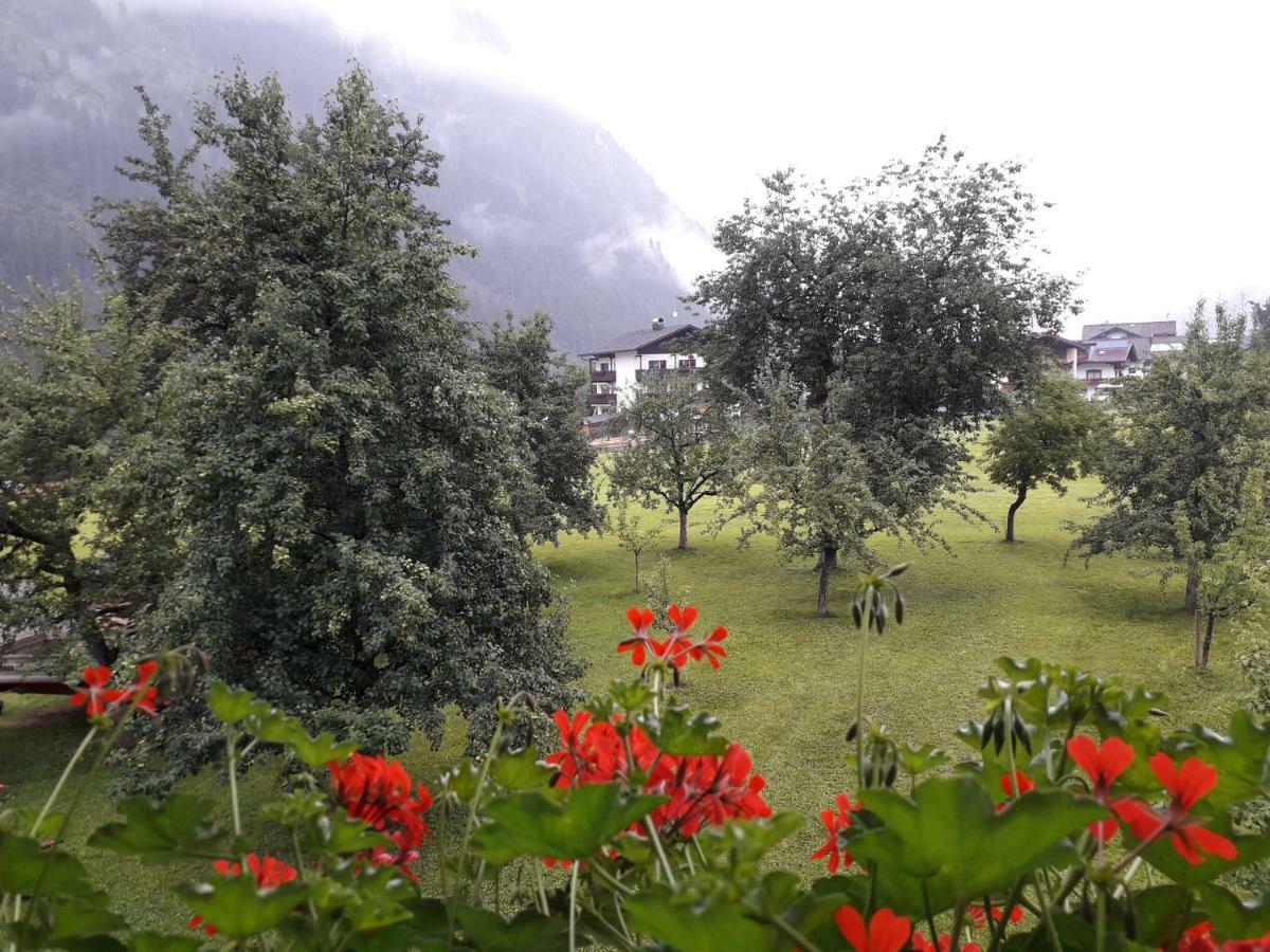 Villa Nieslerhof à Mayrhofen Extérieur photo