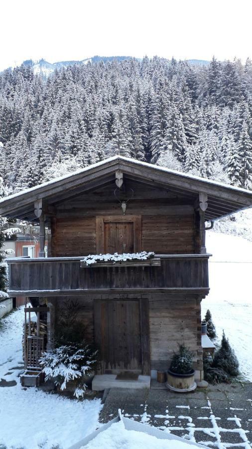 Villa Nieslerhof à Mayrhofen Extérieur photo