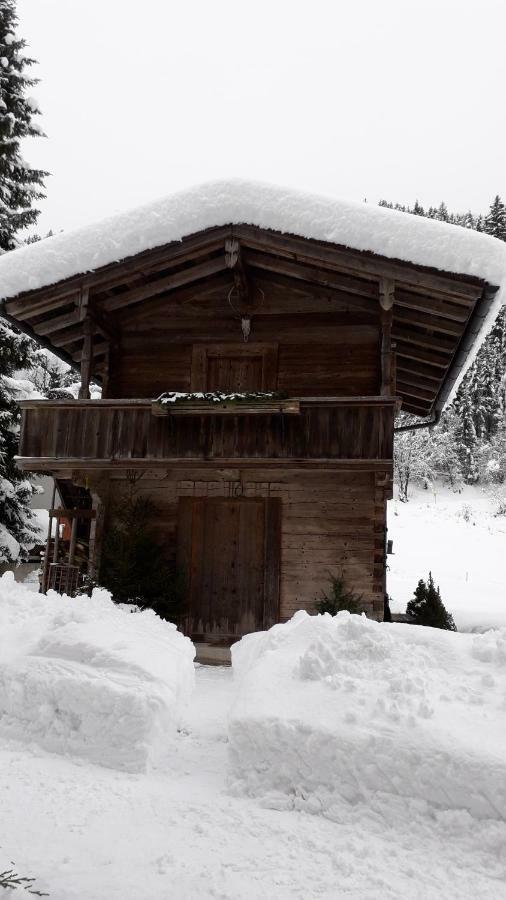 Villa Nieslerhof à Mayrhofen Extérieur photo