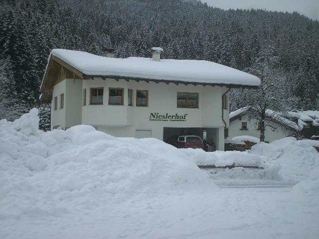 Villa Nieslerhof à Mayrhofen Extérieur photo